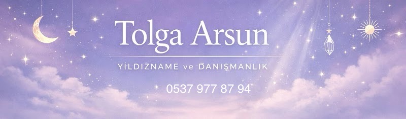 Tolga Arsun — 1