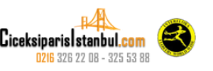 ÇİÇEK SİPARİŞ İSTANBUL logosu
