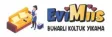 EVİMİİS BUHARLI KOLTUK YATAK YIKAMA ANKARA logosu