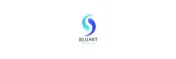 Bluart Dijital Dekorasyon logosu