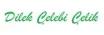 KLİNİK PSİKOLOG DİLEK ÇELEBİ ÇELİK logosu