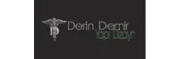 Derin Demir Yapı Dizayn logosu