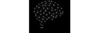 UZMN DR AİLE VE ÇİFT TERAPİSTİ PSİKİYATRİST NİLAY SEDES BASKAK logosu